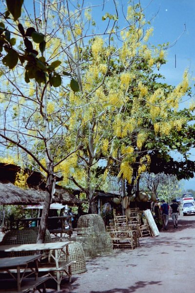Thailand 2001-EX145.JPG